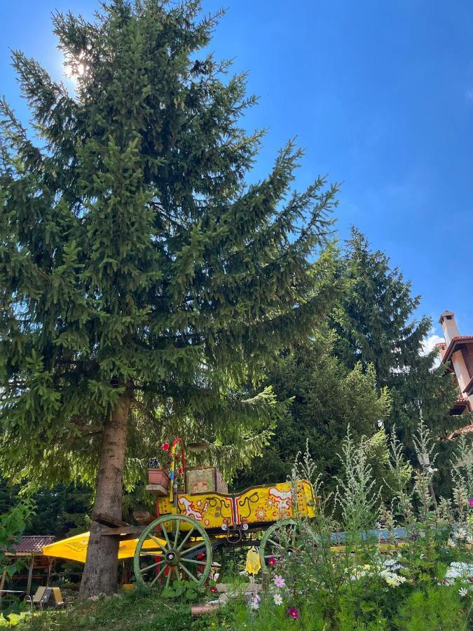 Апартамент Горска Приказка - Forest Tale Smolyan Eksteriør bilde